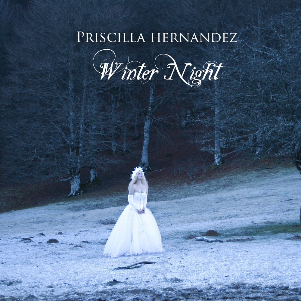 Winter Night And The Snow Bride Fairy Tale Priscilla Hernandez Official Blog